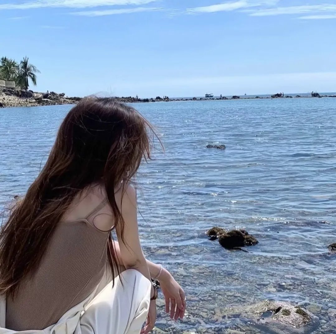在屋顶上流浪